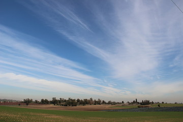 agricultural fields in Israel in winter