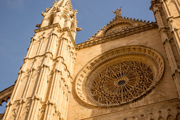palma mallorca cathedral - 190941667