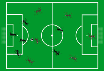 Ants are playing soccer