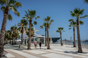 Fototapeta na wymiar Tall palm trees in front a white lighthouse at Malagueta beach in Malaga, Spain, Europe