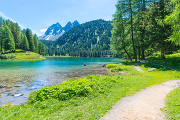 Summer day. Alps in Switzerland. Path  across the lake. Wild meadow flowers. Forest landscape in...