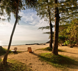 Obraz premium Tropical park near the beach