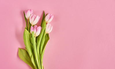 Valentines day background with pink tulips over pink background. Space for text