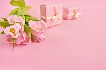 Valentines day background with pink tulips and gift box over pink background. Space for text