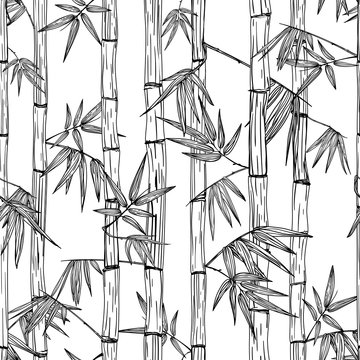 Vector seamless bamboo forest pattern. Black and white hand drawn sketch background. Design for fashion textile print, asian spa and massage, cosmetics package, furniture materials. © Betelgejze