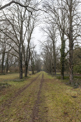 Karolyi palace garden