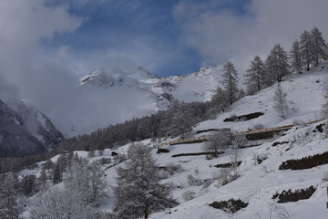 inverno neve montagna nevica nevicata freddo cime montagne
