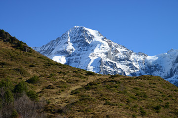 Fototapeta premium Kleine Scheidegg to Lauterbrunnen Hike, Jungfrau region, Switzerland