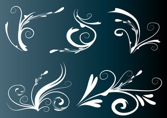 Calligraphic decorative elements with lines