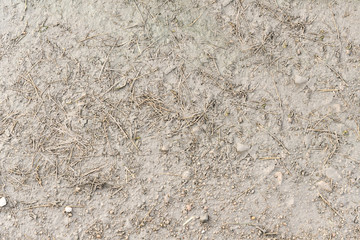 Dried grass covered with liquid mud close-up of the concept of nature, background