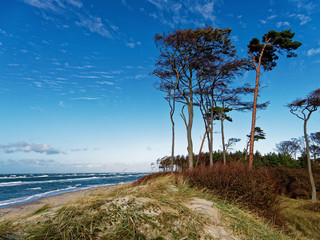 Darßer Weststrand, Nationalpark Vorpommersche Boddenlandschaft, Mecklenburg Vorpommern, Deutschland