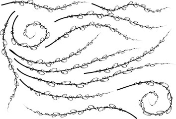 plant and leaf background