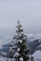 inverno neve montagna nevica nevicata freddo cime montagne