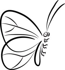 butterfly design