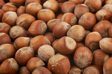 Surface coated with hazelnuts