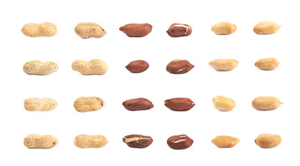 Single peanut in a shell isolated