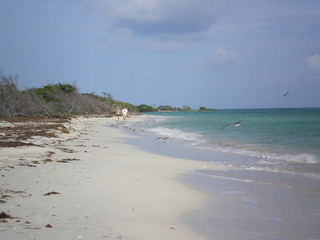 keys beach
