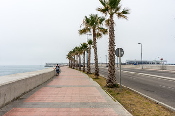 Tall palm trees along the Malaguera beach with sea in the background in Malaga, Spain, Europe on a cloudy morning