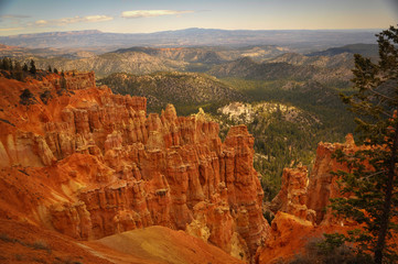 Big Orange Hoodoo in Bryce Canyon Park