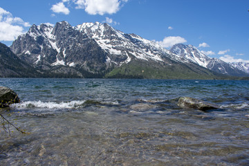 Jenny Lake Shore