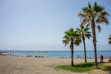 Tall twin palm trees along the Malaguera beach with ocean in the background in Malaga, Spain, Europe