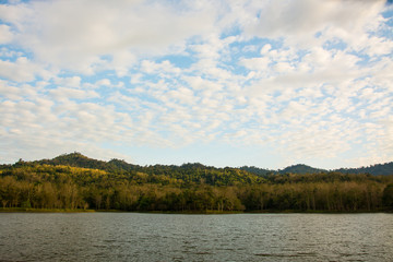 landscape of the forest in Thailand