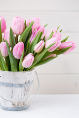 Spring easter tulips in bucket on white vintage background.