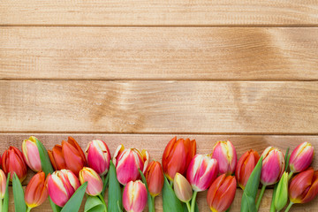 Spring easter tulips in bucket on wooden vintage background.