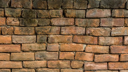 brick wall for background
