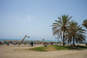 tall twin palm trees along the Malagueta beach with volleyball court in the background in Malaga, Spain, Europe