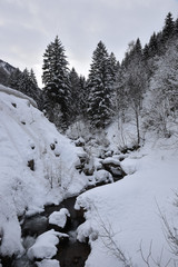 inverno neve montagna nevica nevicata freddo cime montagne