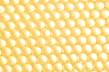 Bee honeycombs. Cell cells on the frame.