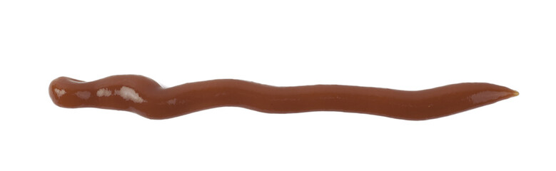 Decorational line made of sauce isolated