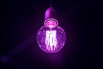 Purple light bulb.
