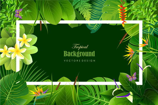 Exotic tropical leaf background in greeting template