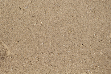White sand beach closeup texture. Tropical beach photo background.