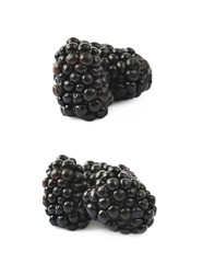 Couple of blackberries isolated