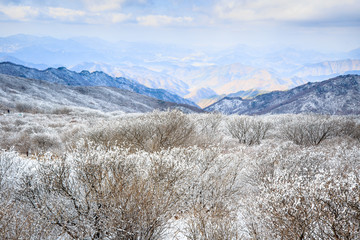 beautiful nature in winter, autumn with frost on trees