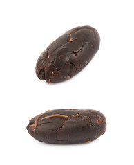 Single cocoa bean isolated