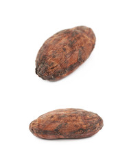 Fototapeta premium Single cocoa bean isolated