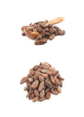 Pile of cocoa beans isolated