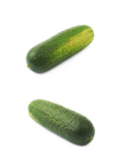 Fresh green cucumber isolated