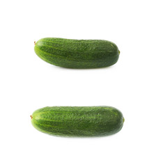 Fresh green cucumber isolated