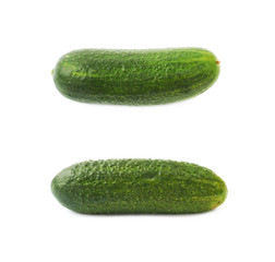 Fresh green cucumber isolated