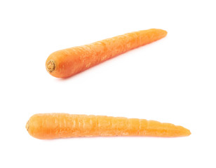 Fresh carrot isolated