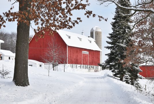 Snowy Road to the Barn