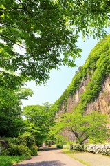 新緑の材木岩公園