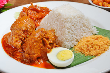 Malaysian rice dish, chicken curry rice