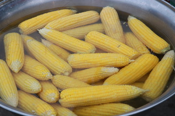 Close up boiled yellow corns in big pot