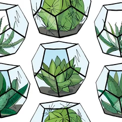 Papier Peint photo Plantes de terrarium Modèle sans couture avec florarium avec différentes succulentes. Texture sans fin avec des plantes d& 39 intérieur à la maison